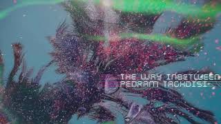 „The Way In between“ - Pedram Taghdisi