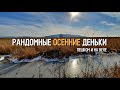 Осень! Всё