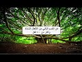 القسم الثاني من الأفعال الشاذة في المضارع البسيط .. الدرس 76