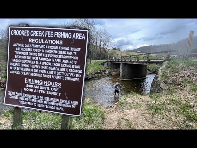 UNEXPECTED day of TROUT FISHING at Crooked Creek Carroll County Virginia!!  