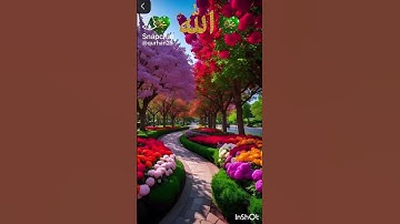 #islamicvideo #lovequran #quran #تلاوة_خاشعة #مسلم #nature #beautiful #foryo #سورة_طه #مسلم #مسلمين