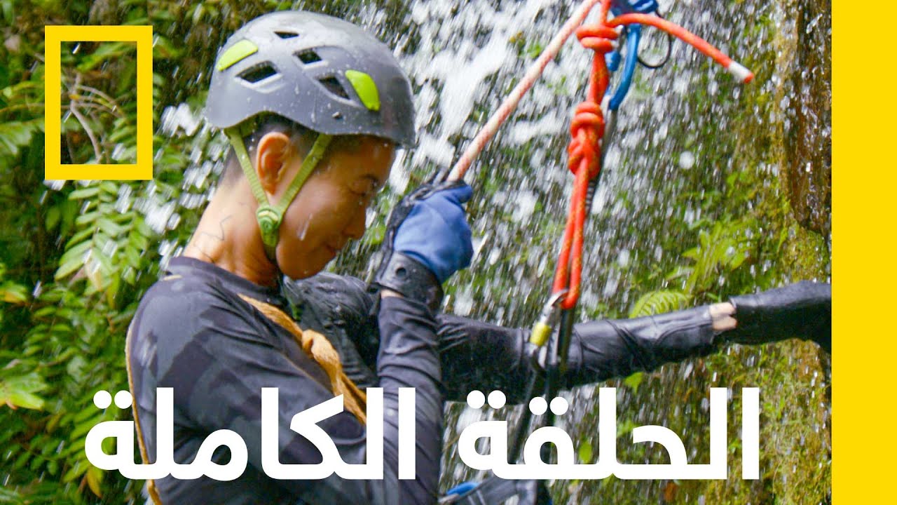 ������ ������ | ����� �� ����� ������ | ������� ��������� ������
 - نشر قبل 13 دقيقة