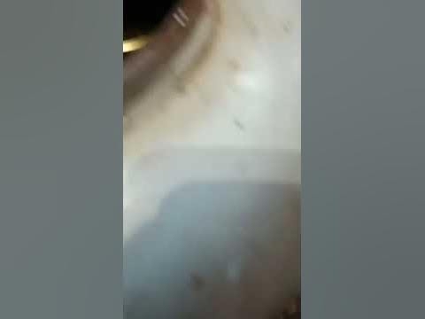 цыпленок в собственном соку в автоклаве. - YouTube