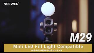 Introducing the NEEWER M29 Mini LED Fill Light Compatible with DJI OSMO Pocket 4 & 4P