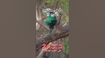 ما هي مفاتيح الفرج ؟ #تيك_توك #قصص #فولو #ترند #explore #سنن_مهجورة #أسئلة #اذكار #دعاء#القرآن #لايك