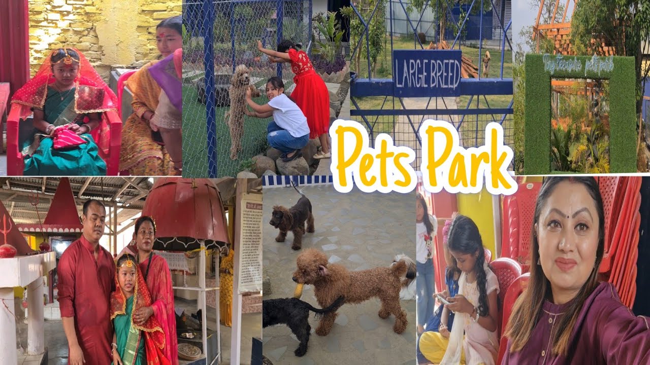 Gunyo Cholo ceremony || Cute dogs || Tiny Treasure pets park chingmeirong Imphal 