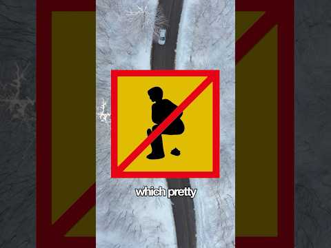 what are the four types of traffic