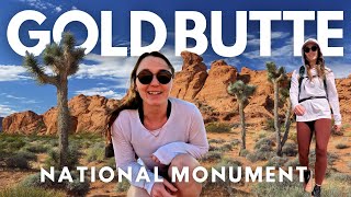 Ultimate Guide to Hiking & Camping in Gold Butte National Monument, Nevada