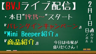 『Mini Beeper』&『バレンタインキャンペーン』&『商品紹介』盛りだくさん配信！