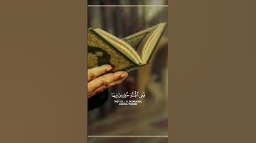 قرآن بصوت جميل #تلاوات_خاشعة #اكسبلور #لايك #قرآن #تيك_توك #دويتو #خشوع #راحة_نفسية #حالات_واتس