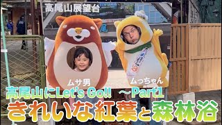 毎年恒例！高尾山に家族みんなで行ってきたよ♪