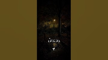 اكتب شي تؤجر عليه 🎧😍 #سورة_يوسف #اسلام_صبحي #quran