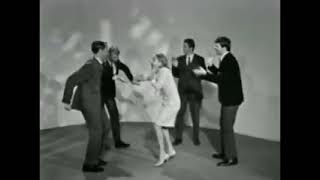 THE WHAT&#39;S NEW (1966) - &quot;Les Mots D&#39;Amour&quot;