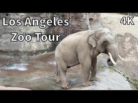 Tour of the Los Angeles Zoo - Los Angeles, California - USA