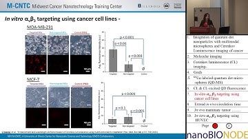 Integration of Quantum Dot Nanoparticles with Multimodal Microspheres (Joanne Li)