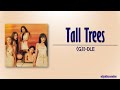 G I DLE Tall Trees Rom Eng Lyric mp3
