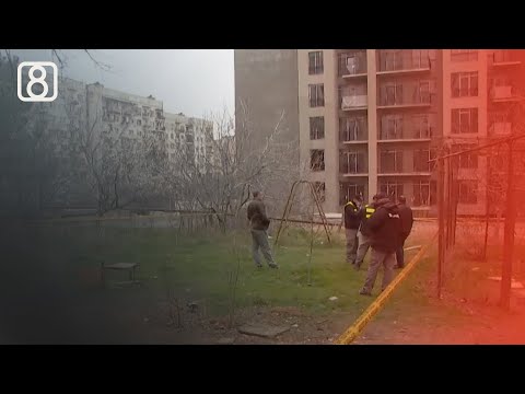 ანა იანუშაიტიტეს საქმე