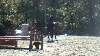 IHSA: Steph in Intermediate Fences @ Columbia University Horse Show