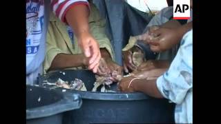 Rumbling Mount Merapi appears quieter, but danger still exists