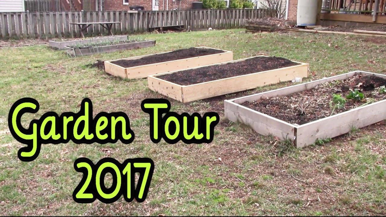 Backyard Vegetable Garden Tour ~ March 2017 - YouTube