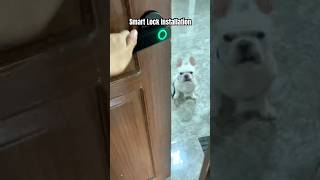 How To Install Tuya Smart Door Lock Wifi #smartlock