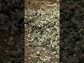 Why Roman Roads Last 2000+ Years