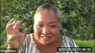 Kū & Hina - The story of the kumu lāʻau Ulu