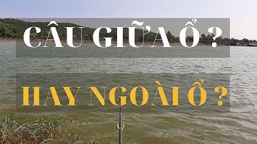 Lên Câu Giữa Ổ Hay Ngoài Ổ