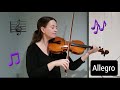 Beginning Violin: Allegro Play-Along