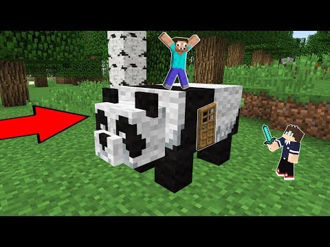 Видео: 2 ПРО ПОСТРОИЛИ ДОМ ВНУТРИ ПАНДЫ В МАЙНКРАФТ ! ПРОФЕССИОНАЛ В 1 БЛОК MINECRAFT ТРОЛЛИНГ ПОСТРОЙКА !