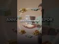 Best tips and tricks to start building credit, improve bad credit, and build wealth by using good cr