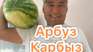 картинка: Айша мен Айару папасына қарбызды нарезкаға көмектесті ❤️❤️❤️🌺🌺🌺👍👍