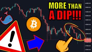 Prepare For The Worst (PRICE CRASH) Bitcoin & Cryptocurrency Investor WARNING 2021 Market Outlook