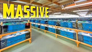 Most Amazing African Cichlid Facility in the World