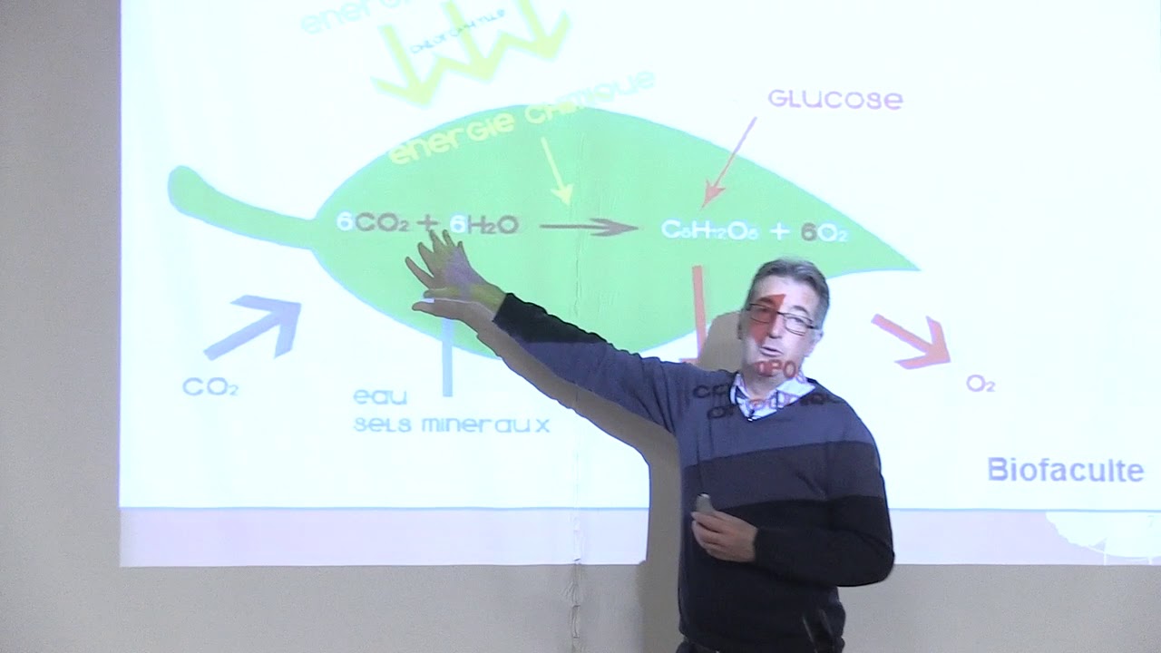 Rencontres MSV 2017 - Xavier Salducci - Matières organiques
