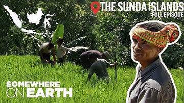 Planet Earth: The Sunda Islands | Discovering Bali, Java and Sumba | Documentary