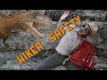 How To Be Safe When Hiking & Looking For Dinosaurs | Educational Videos For Kids
