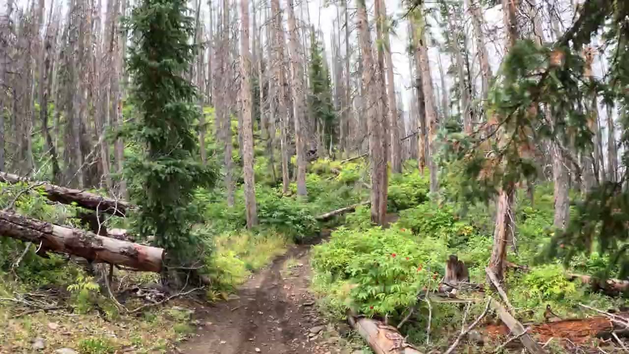 ride in the mountains