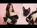 Tiffany Young Plays With Puppies While Answering Fan Questions