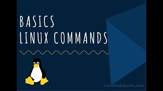 Linux Basic Commands with Practical Lab
