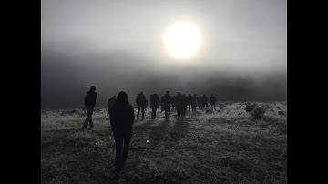 Transition Engineering Genesis