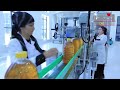 Success Story | 200 TPD cottonseed oil plant in Uzbekistan