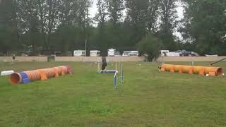 Gusti Agility Seminar