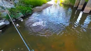 How I find my good fishing spots. Fishing tips screenshot 4