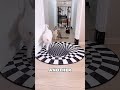 This Girl Proved The Courage of Her Cats 🤯❤️
