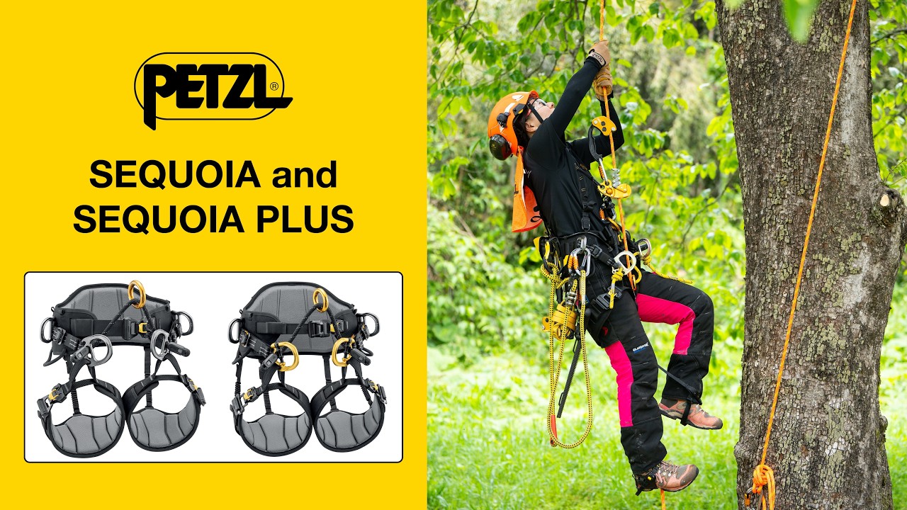 Petzl SEQUOIA and SEQUOIA PLUS Tree Climbing Saddles | 2026 Versions - Petzl Professional