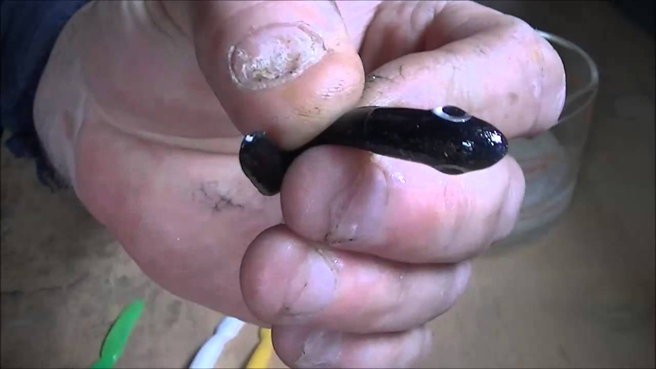 fitting eyes to soft plastic lure 