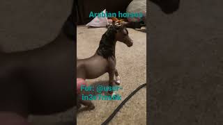 Arabian Horses schleich