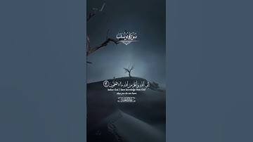 خالد الجليل سورة يوسف بكاء وتلاوة خاشعة تريح الاعصاب #راحة_نفسية #المصحف #وطمأنينة