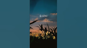 القارئ سالم الرويلي - سورة الرحمن | مقاطع قرآن قصيرة وحالات واتس إسلامية 🌱
